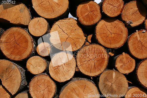 Image of Wooden abstract