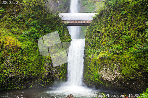 Image of Multnomah Falls in Oregon