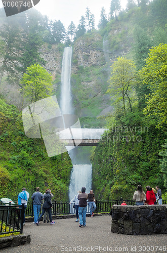 Image of Multnomah Falls in Oregon
