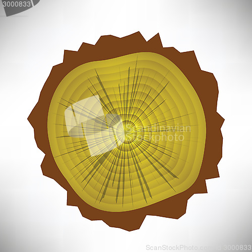 Image of tree rings