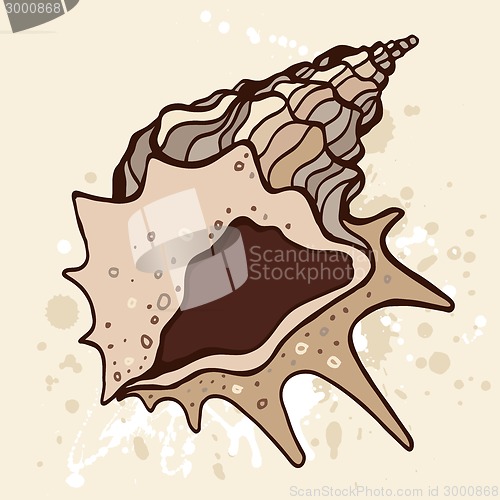 Image of Grange shell. Hand drawn vector illustration