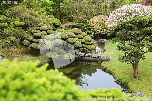 Image of San Francisco Japanese Garden