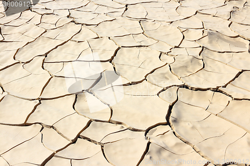 Image of Cracked soil