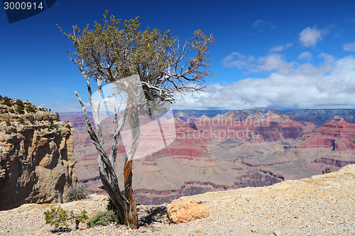 Image of Grand Canyon National Park