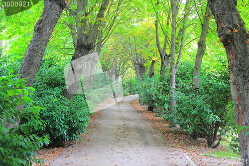Image of Madrid park