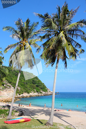 Image of Koh Tao beach