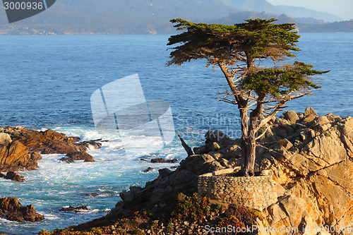 Image of California coast