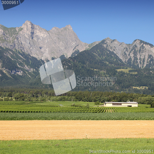 Image of Alps in Switzerland
