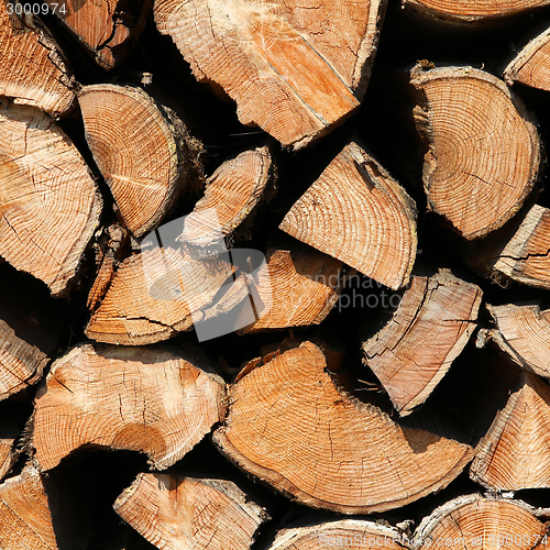 Image of Wood