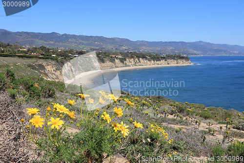 Image of Malibu