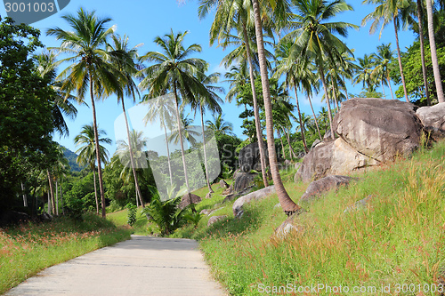 Image of Ko Tao, Thailand