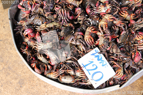 Image of Seafood market in Asia