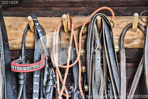 Image of Equestrian equipment