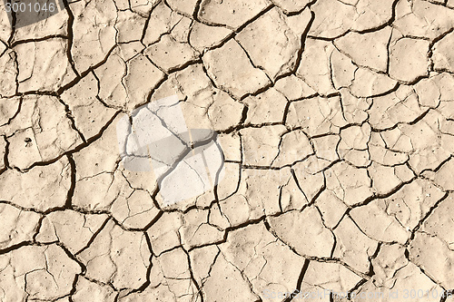 Image of Desert ground