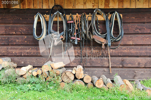 Image of Stud farm in Poland