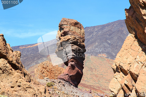 Image of Tenerife nature