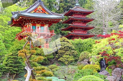 Image of Japanese Garden, San Francisco