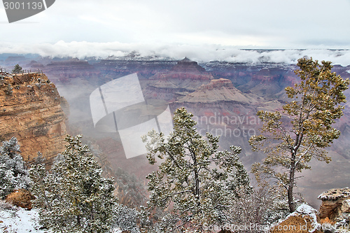 Image of Grand Canyon