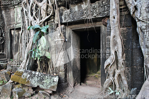 Image of Cambodia culture