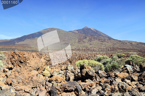 Image of Tenerife landscape