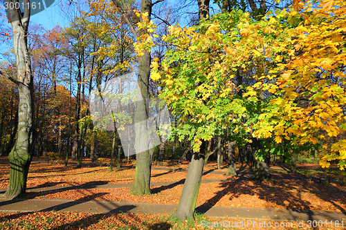 Image of Autumn colors