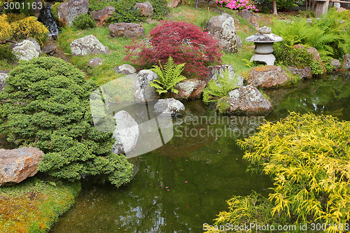 Image of Japanese Tea Garden