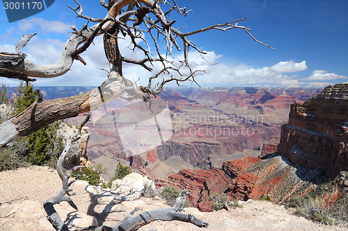 Image of Grand Canyon