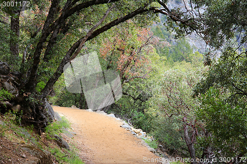 Image of Yosemite