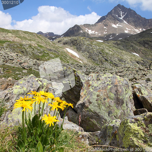 Image of Italian Alps