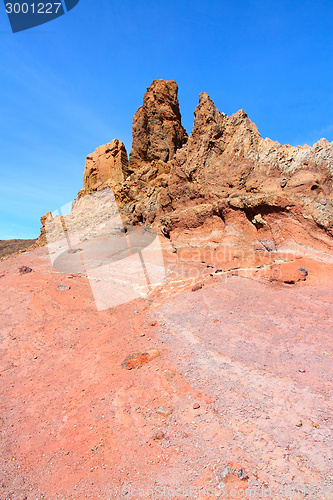 Image of Canary Islands - Tenerife