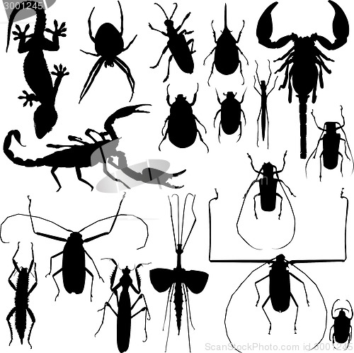 Image of Insect silhouettes vector