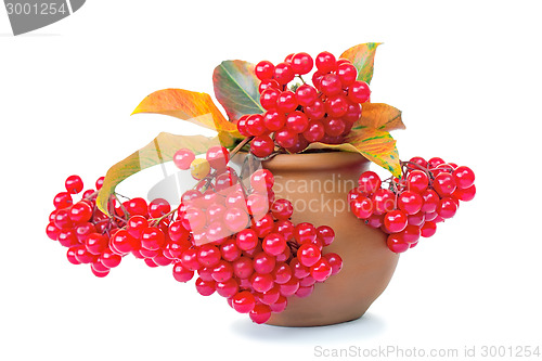 Image of Berries of viburnum and yellow leaves in a ceramic vase on a whi