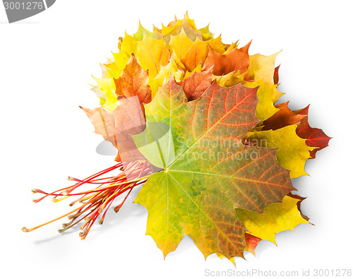 Image of Bouquet Of Autumn Leaves