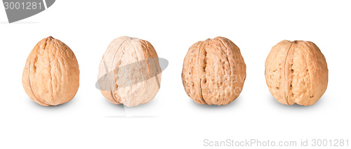 Image of Four Nuts Lying In A Row