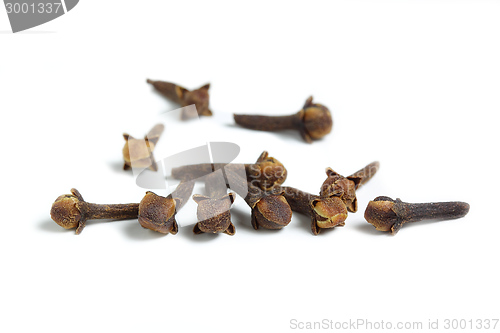 Image of Cloves