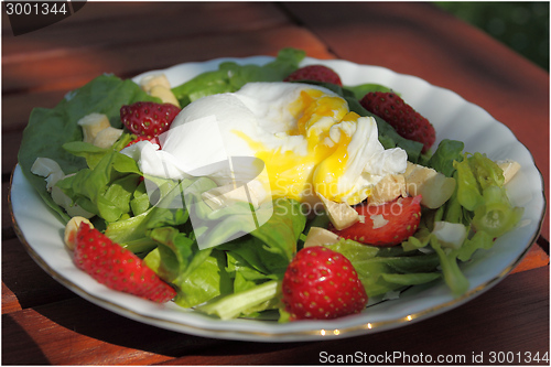 Image of Poached egg