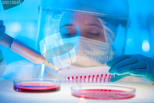 Image of Working in the laboratory with a high degree of protection