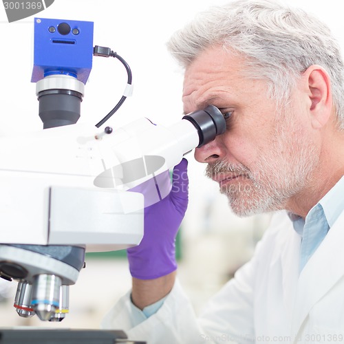 Image of Senior scientist  microscoping in lab.