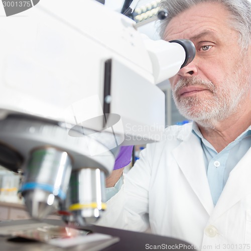 Image of Senior scientist  microscoping in lab.