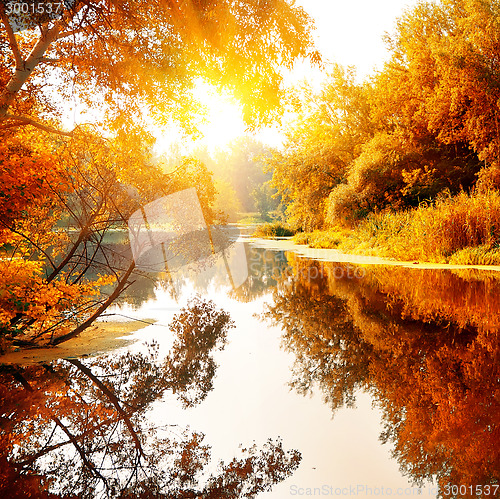 Image of River in a delightful autumn forest