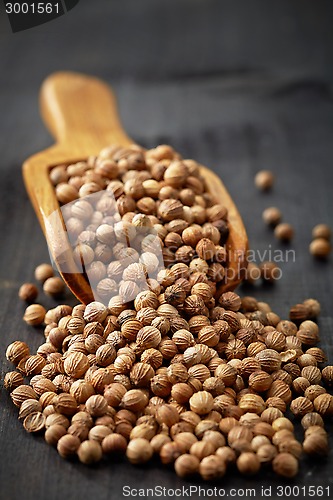Image of Wooden scoop with coriander seeds