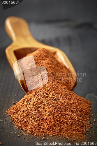 Image of Wooden scoop with ground cinnamon