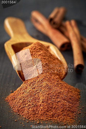 Image of Wooden scoop with ground cinnamon
