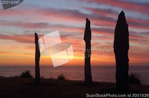 Image of Bondi Points at Sculpture by the Sea