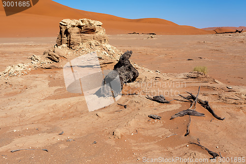 Image of beautiful landscape of Hidden Vlei in Namib desert 