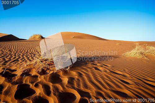 Image of sand dunes at Sossusvlei, Namibia