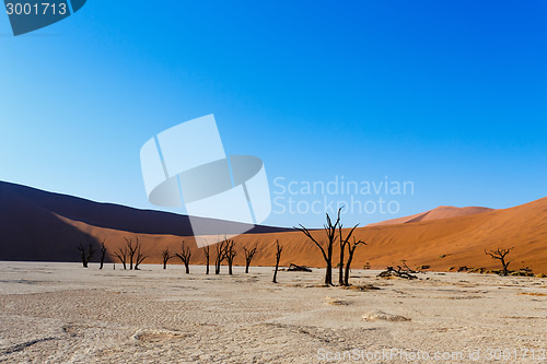 Image of beautiful landscape of Hidden Vlei in Namib desert 