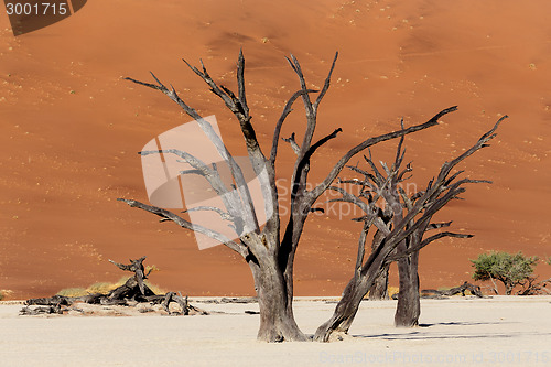 Image of beautiful landscape of Hidden Vlei in Namib desert 