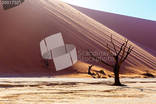 Image of beautiful landscape of Hidden Vlei in Namib desert 