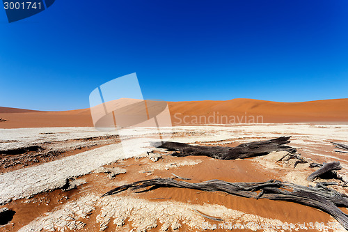 Image of beautiful landscape of Hidden Vlei in Namib desert 